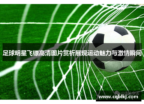 足球明星飞镖高清图片赏析展现运动魅力与激情瞬间